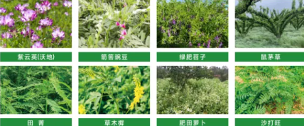 尊龙凯时-官网首页--人生就是博!